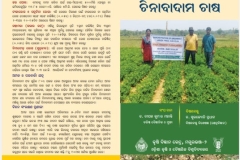 WhatsApp Image 2025-10-06 at 2.02.51 PM