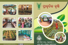 WhatsApp Image 2025-10-06 at 2.02.52 PM