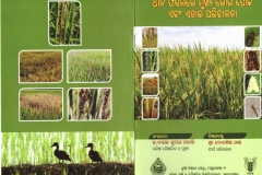 publications_010
