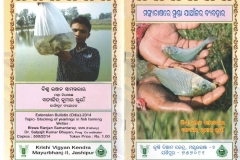 publications_002