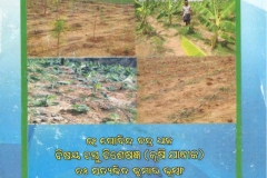 publications_007