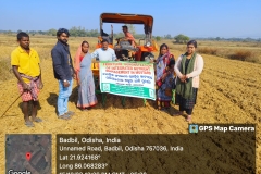 FLD on INM in Mustard