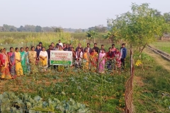 IS Trg on Layout of Kitchen Garden
