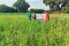 OFT-on-non-ragi-millet-crops-for-diversification-of-millet-production-system-