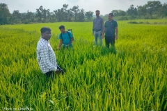 WhatsApp Image 2023-09-26 at 6.13.47 PM