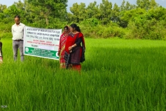 WhatsApp Image 2025-09-17 at 11.02.41 AM