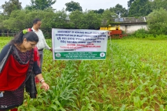 WhatsApp Image 2025-09-17 at 11.03.54 AM (2)