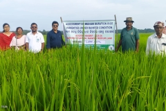 WhatsApp Image 2025-10-17 at 11.49.48 AM