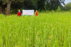 WhatsApp Image 2025-10-17 at 11.58.27 AM