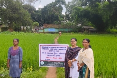 WhatsApp Image 2025-10-17 at 11.58.28 AM