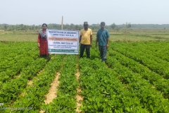 WhatsApp Image 2025-10-17 at 12.05.27 PM