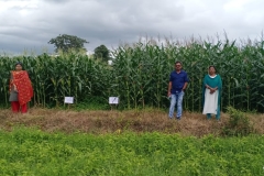 WhatsApp Image 2025-10-17 at 12.10.10 PM