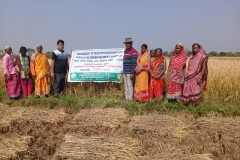 WhatsApp Image 2025-11-11 at 10.18.48 PM