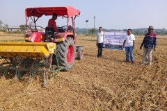 WhatsApp Image 2025-11-11 at 10.18.53 PM