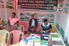 WhatsApp Image 2025-11-13 at 10.28.48 AM