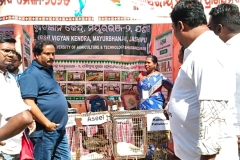 WhatsApp Image 2025-11-15 at 12.49.13 PM (2)