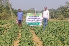 dd9f425d-fc9a-4efb-b5bb-982f9d2c0bc7